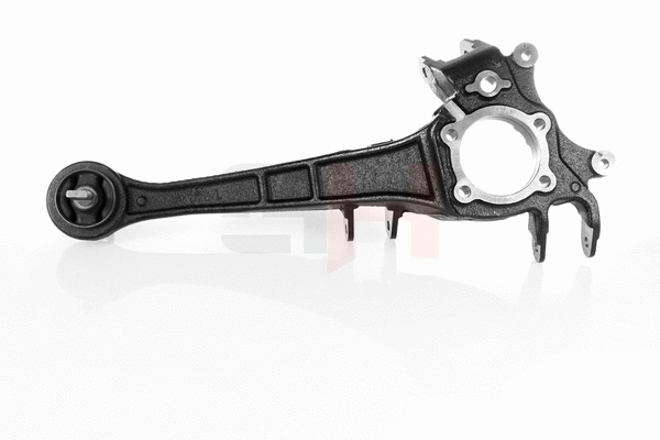 Steering Knuckle, wheel suspension (GH-293055V)