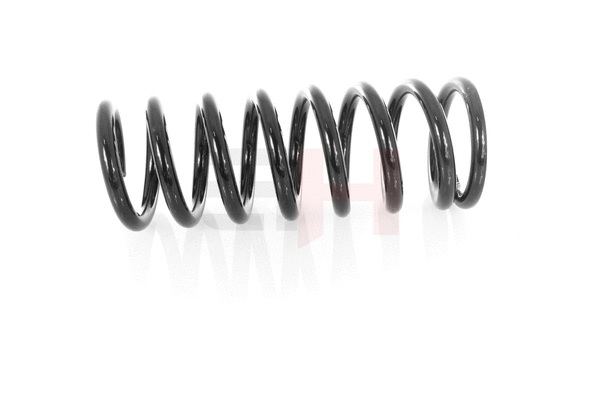 Suspension Spring (GH-223315)