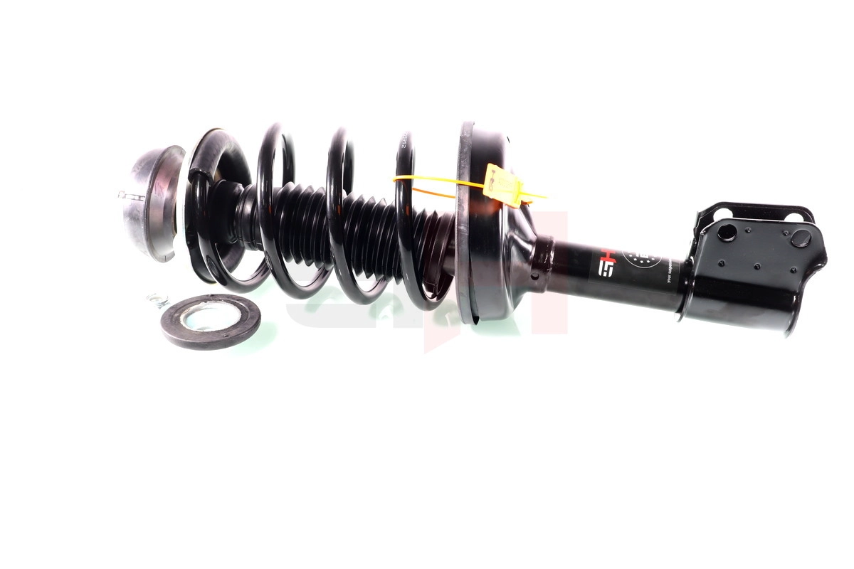 Suspension Strut (GH-353992C01)