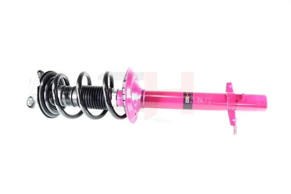 Suspension Strut (GH+351960C01)
