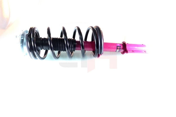 Suspension Strut (GH+351958C11A)