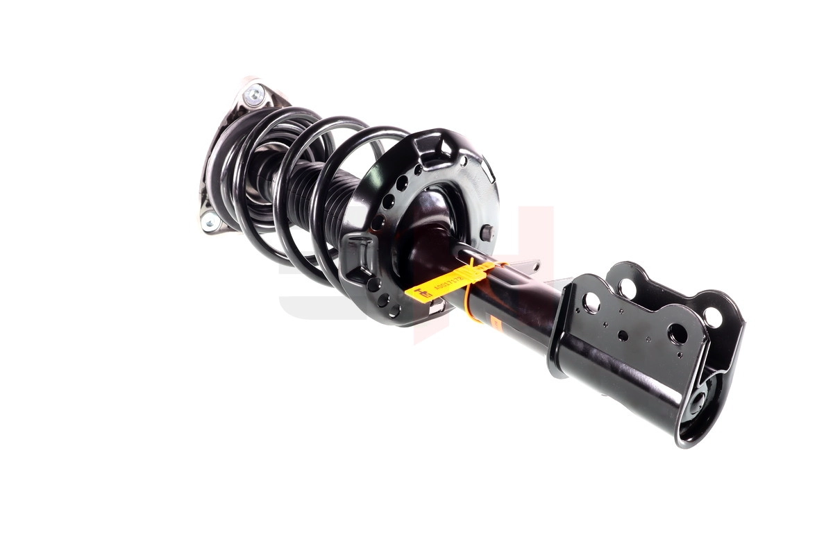 Suspension Strut (GH-353374C02)