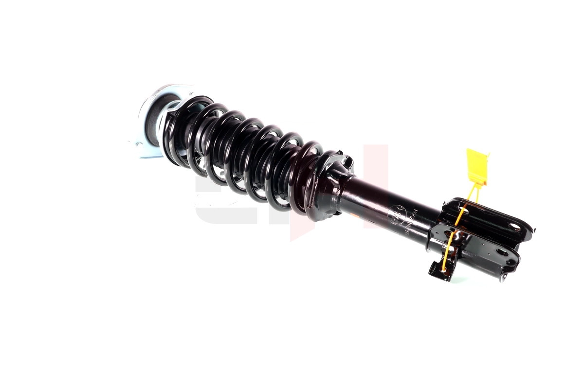 Suspension Strut (GH-355250C01)