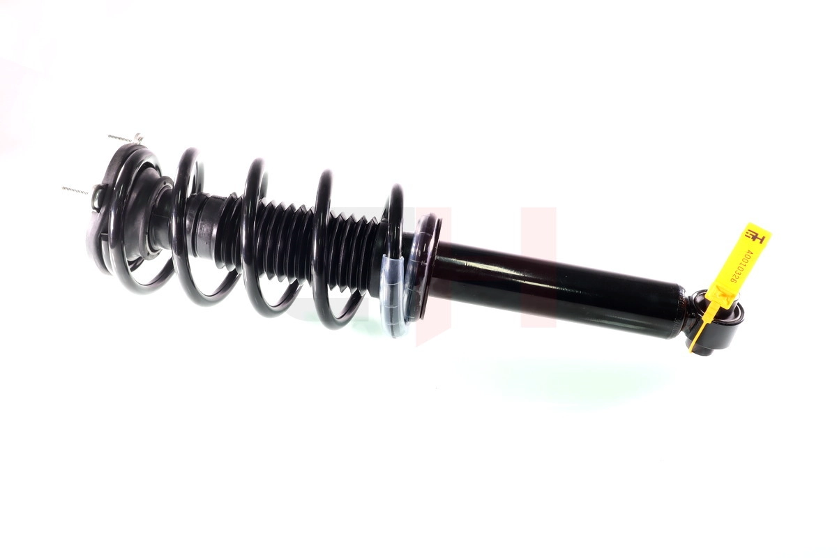 Suspension Strut (GH-333747C01)