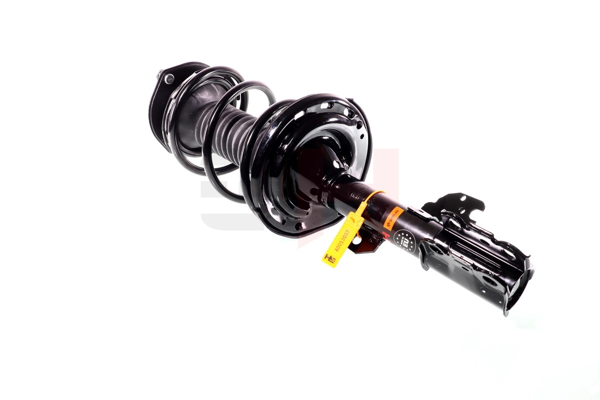 Suspension Strut (GH-354568C01)