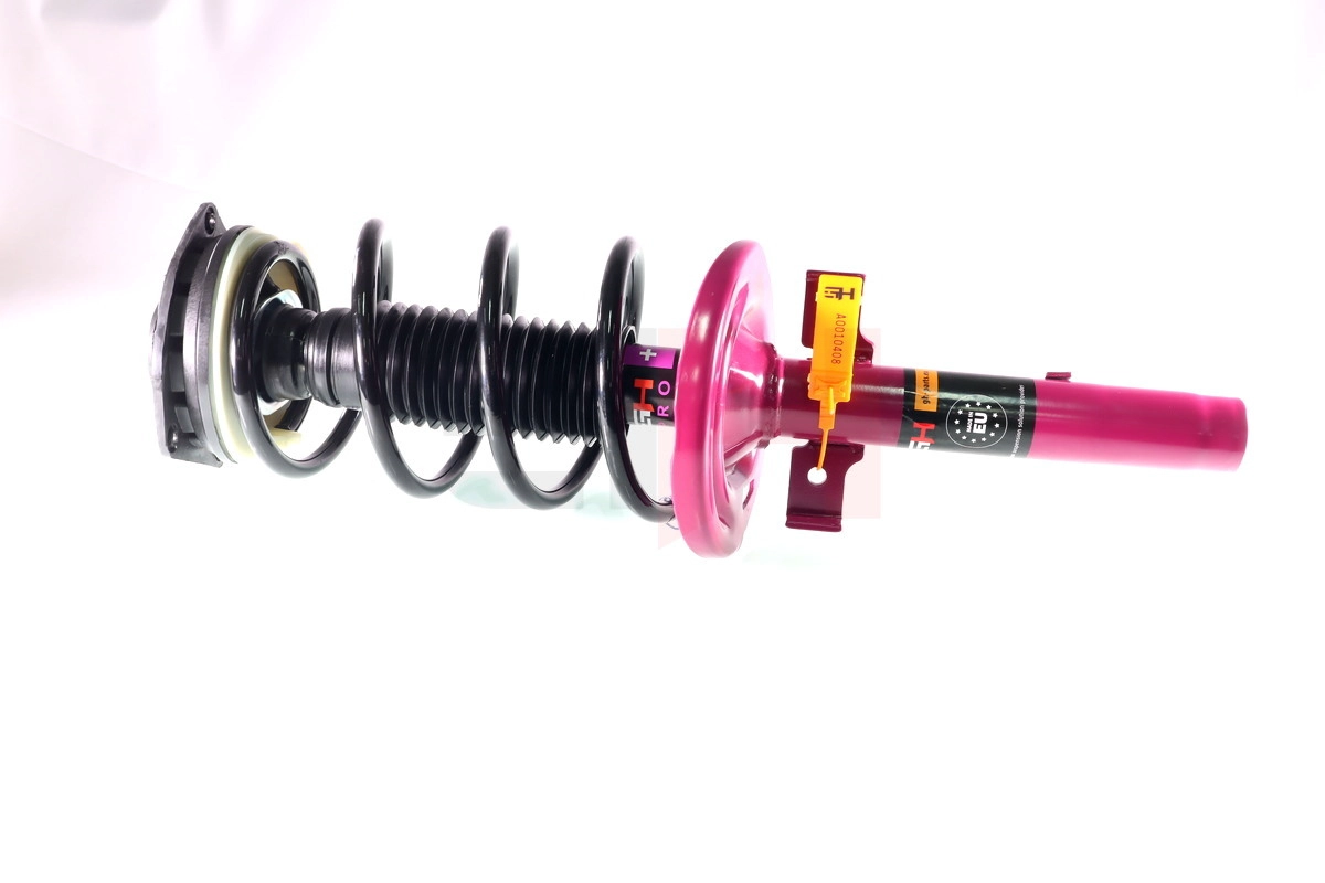 Suspension Strut (GH+353955C01)
