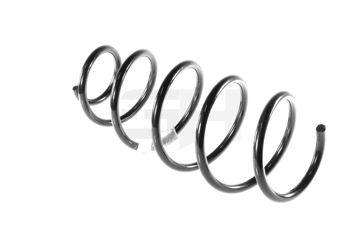 Suspension Spring (GH-205079)