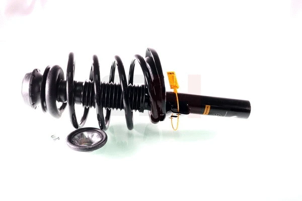 Suspension Strut (GH-352506C01)