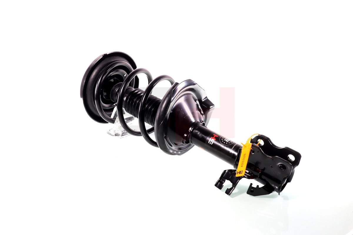 Suspension Strut (GH-352236C01)