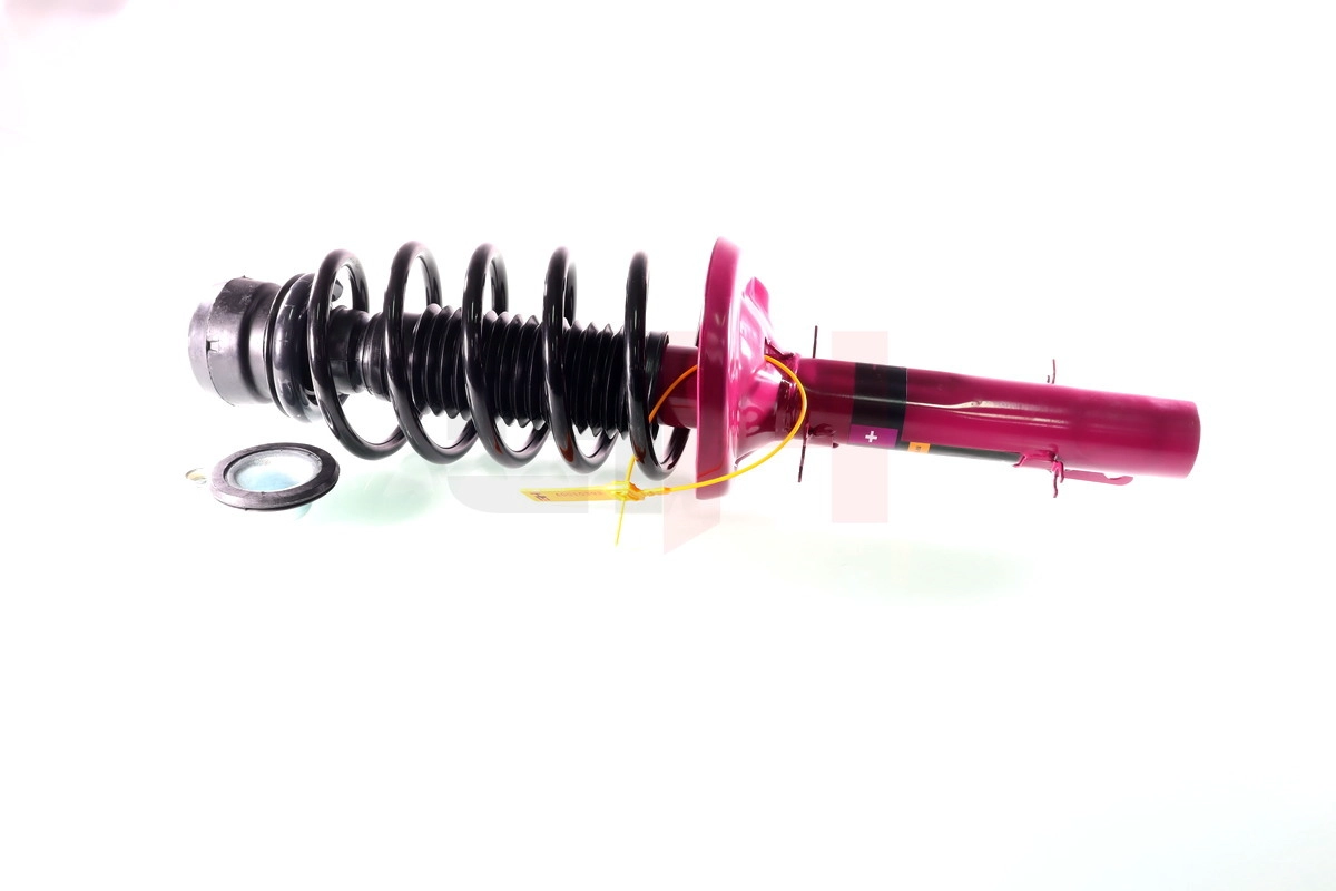 Suspension Strut (GH+354710C01)