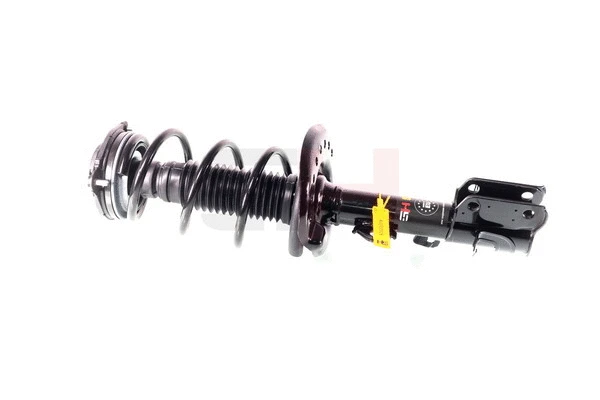 Suspension Strut (GH-352206C01)