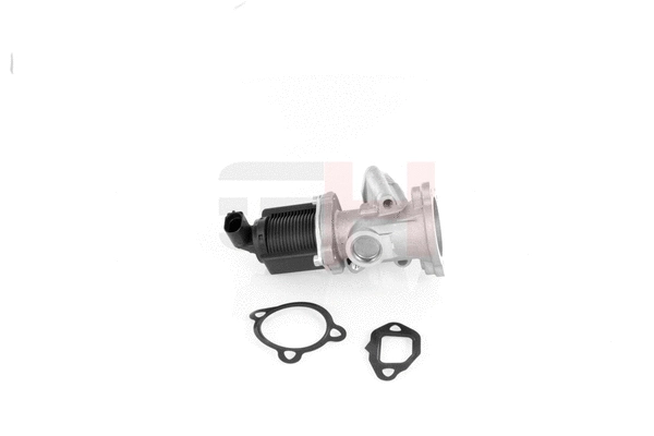 EGR Valve (GH-732344)