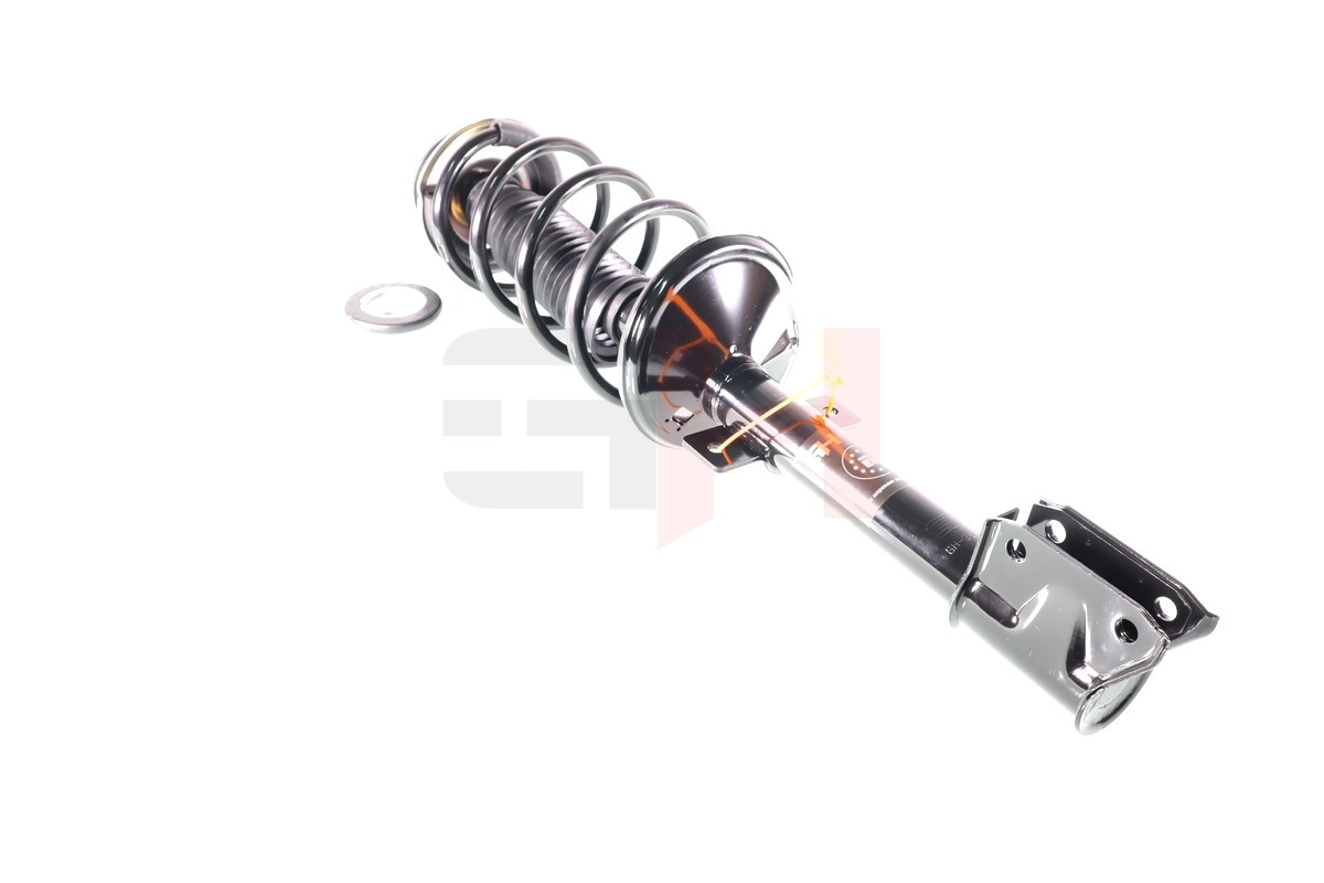 Suspension Strut (GH-353998C01)