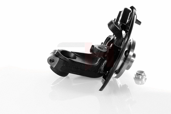 Steering Knuckle, wheel suspension