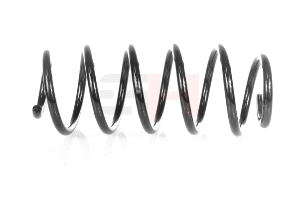 Suspension Spring (GH-204734)