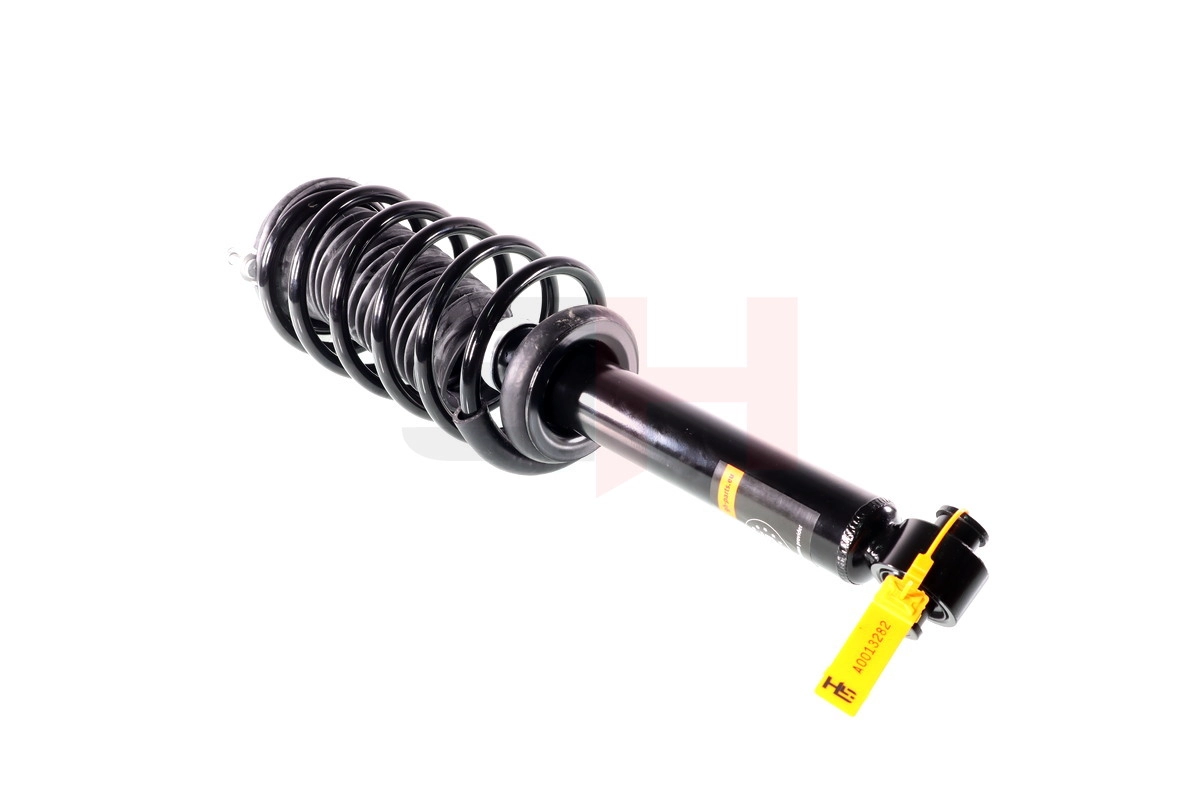 Suspension Strut (GH-331950C01)