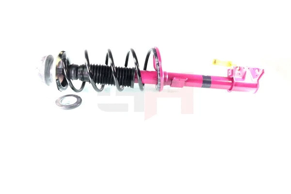 Suspension Strut (GH+353998C01)