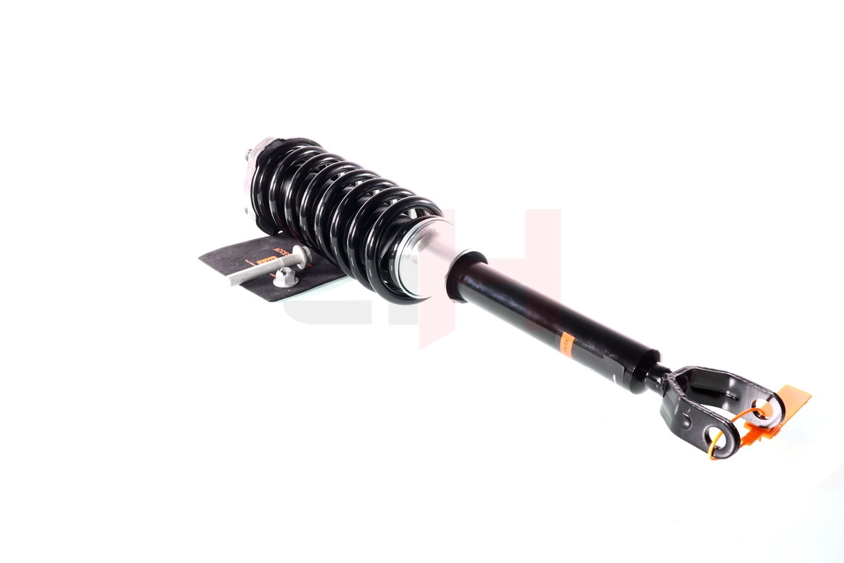 Suspension Strut (GH-333353C04)