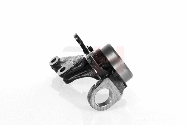 Steering Knuckle, wheel suspension