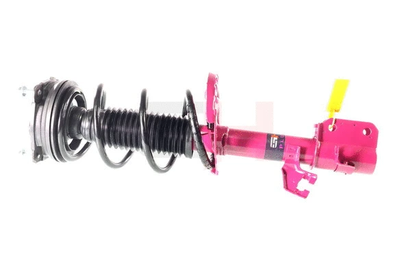 Suspension Strut (GH+352226C01)