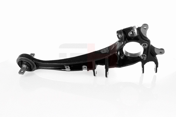 Steering Knuckle, wheel suspension (GH-293055H)