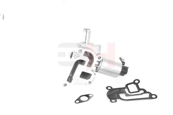 EGR Valve (GH-733640)