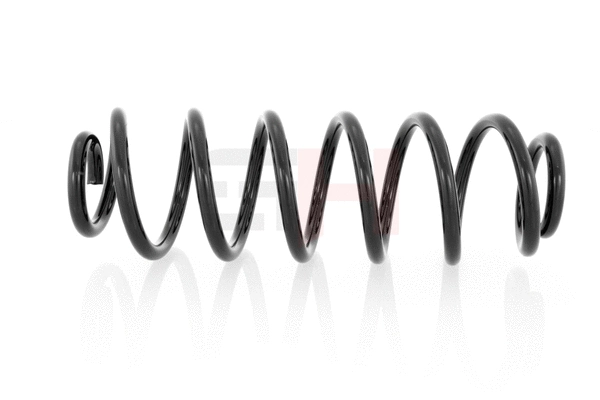 Suspension Spring (GH-224730)