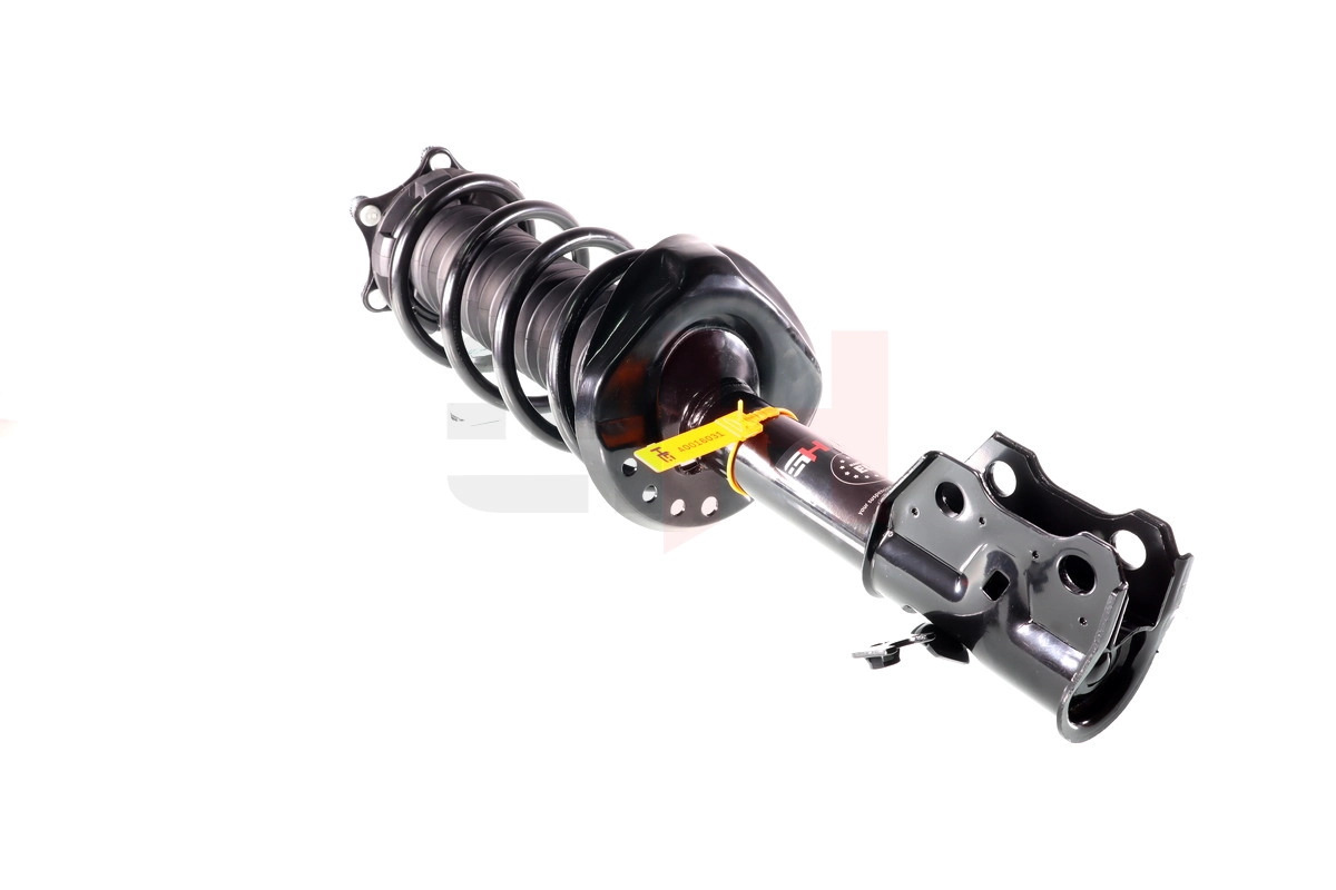 Suspension Strut (GH-352669C01)