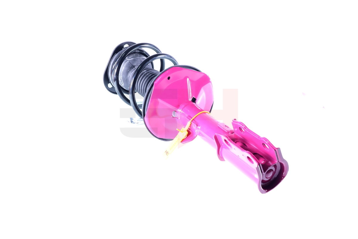 Suspension Strut (GH+354553C03)
