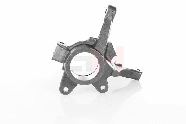 Steering Knuckle, wheel suspension (GH-293989H)