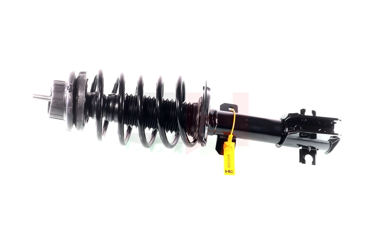 Suspension Strut (GH-352366C01)