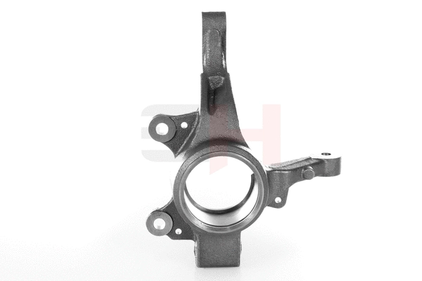 Steering Knuckle, wheel suspension (GH-293993V)