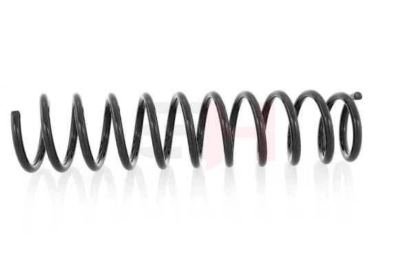 Suspension Spring (GH-224804)