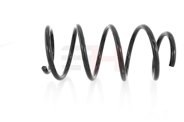Suspension Spring (GH-203917)