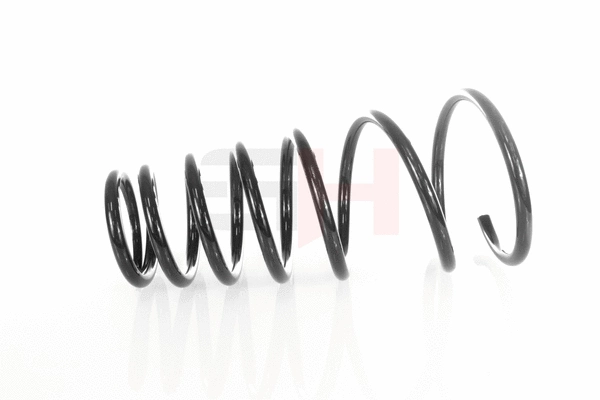 Suspension Spring (GH-224569)