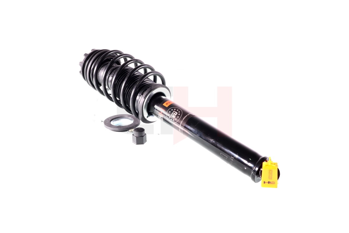 Suspension Strut (GH-357501C02)