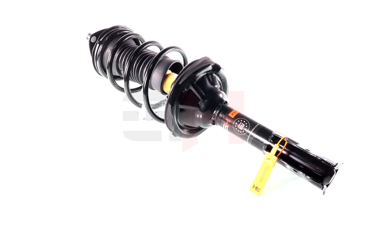 Suspension Strut (GH-354581C01)
