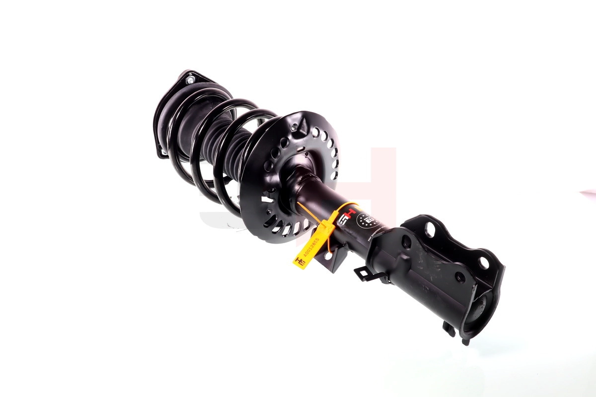 Suspension Strut (GH-353399C01)