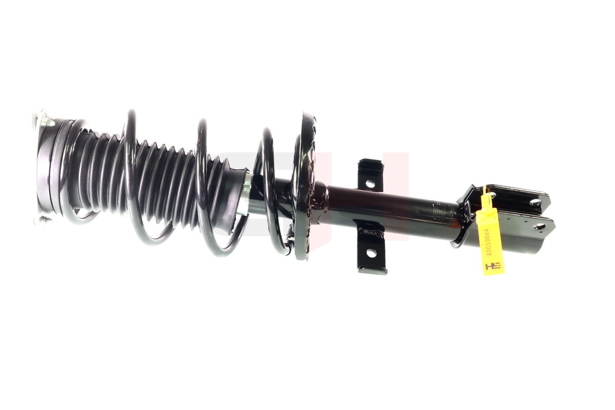 Suspension Strut (GH-353993C06A)