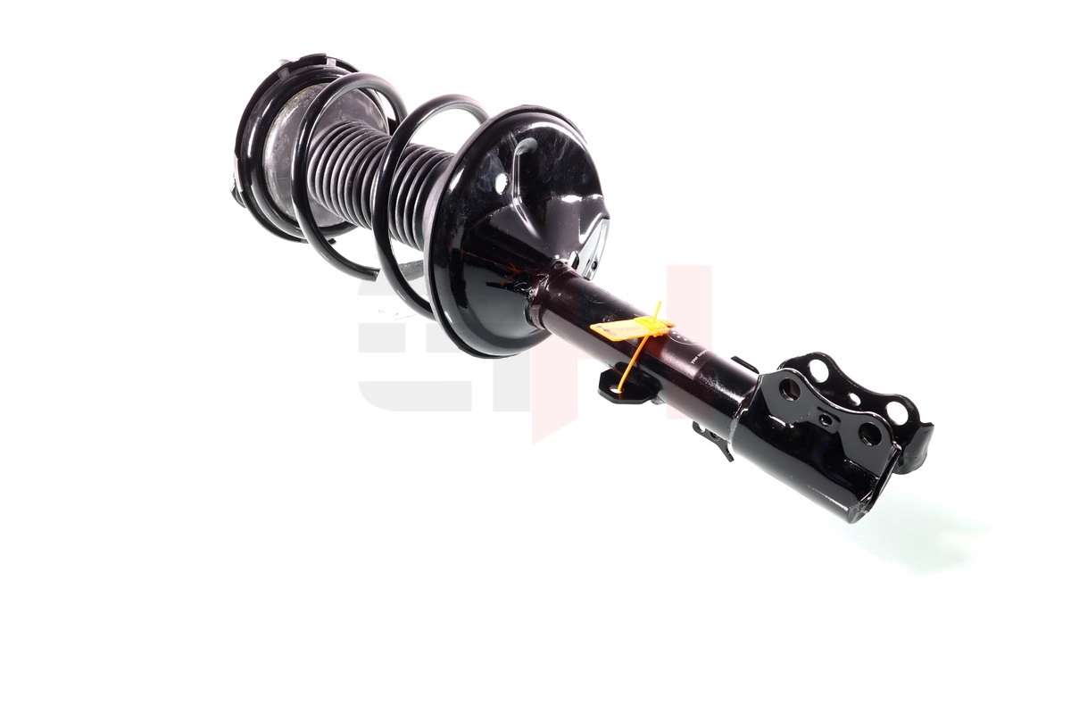 Suspension Strut (GH-354518C02)