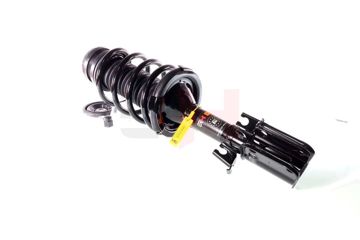 Suspension Strut (GH-353382C01)