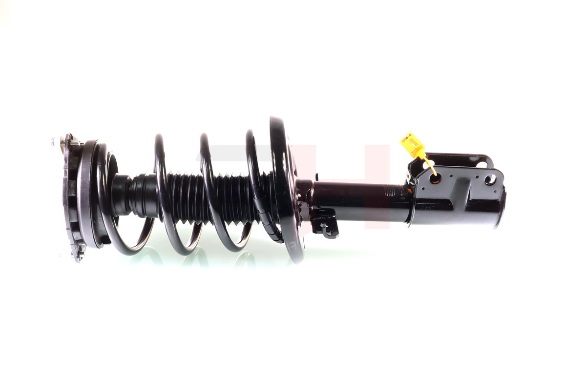 Suspension Strut (GH-353971C01)