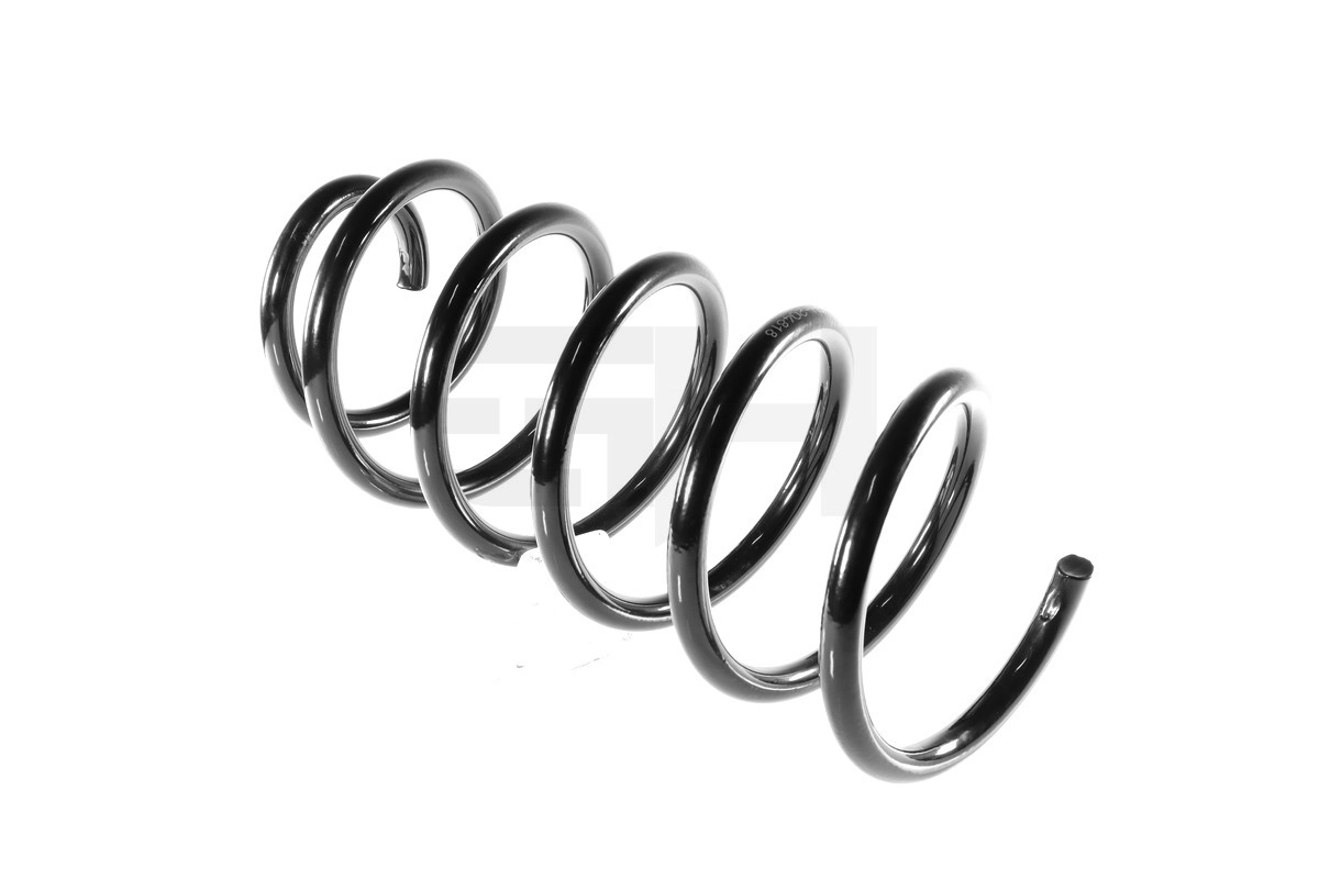Suspension Spring (GH-204818)