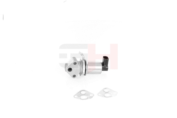EGR Valve (GH-734710)