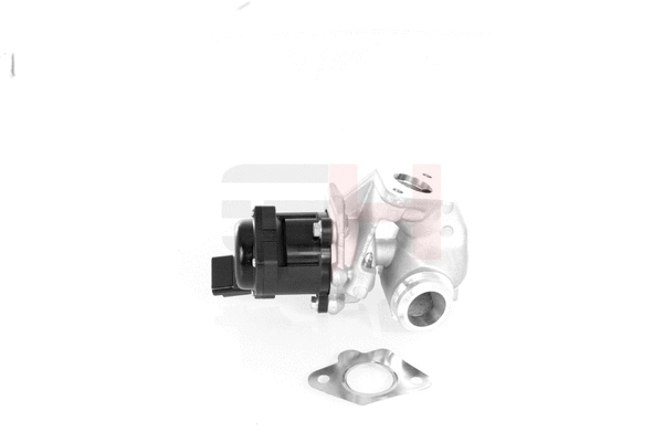 EGR Valve (GH-732549)