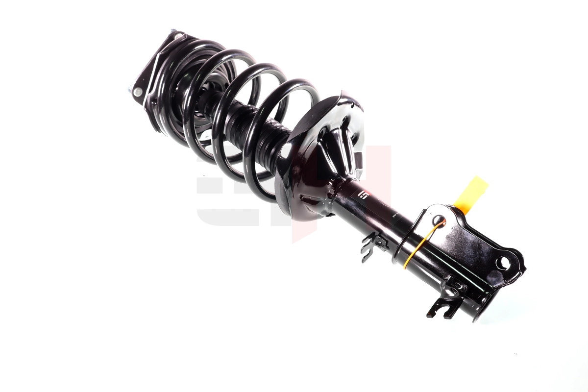 Suspension Strut (GH-353532C02)