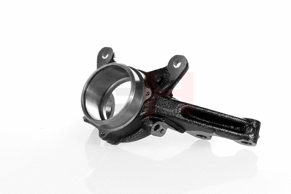 Steering Knuckle, wheel suspension