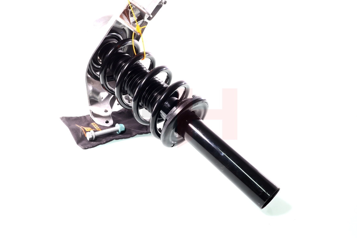 Suspension Strut (GH-334703C08)
