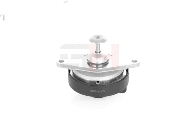 EGR Valve (GH-733665)