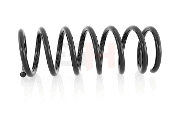 Suspension Spring (GH-222211)